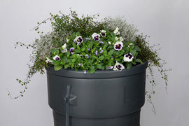 Decorative Water Butts