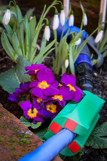 Plantsurge Magnetic Plant Growth Booster