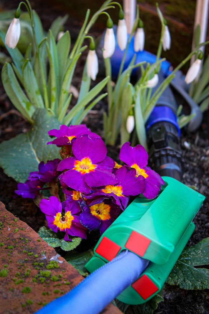 Plantsurge Magnetic Plant Growth Booster