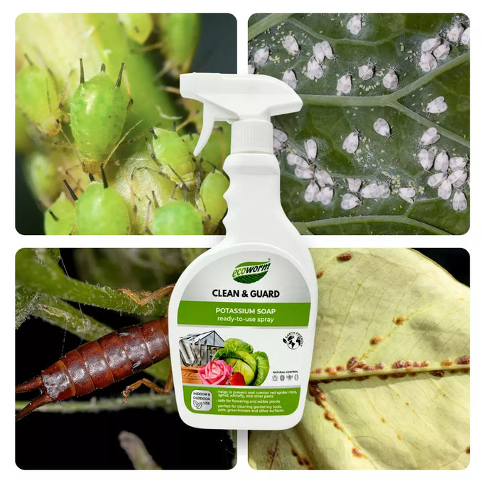 Ecoworm 500ml Potassium Soap Spray