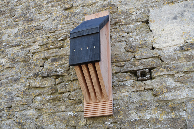 Vincent Pro Bat Box