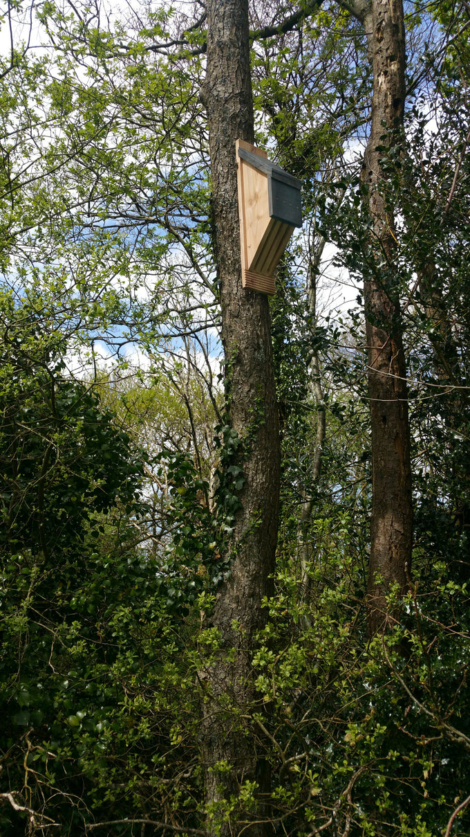 Vincent Pro Bat Box
