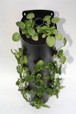 Flower Tower Wall Mounted Planter 3 Pack