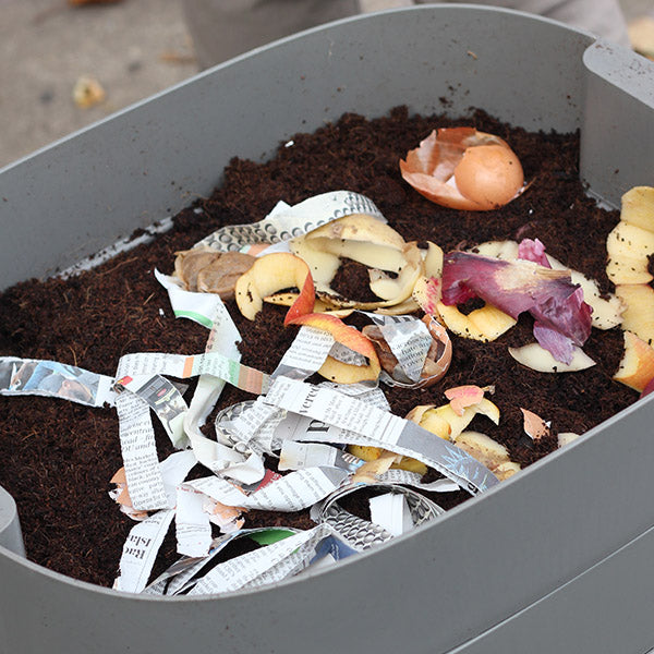 Urbalive Cream Worm Farm + Starter Kit + Worms
