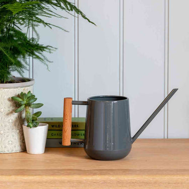Indoor Watering Can