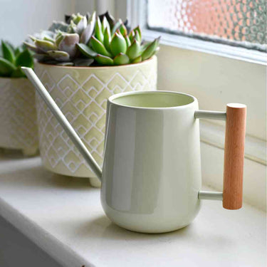 Indoor Watering Can