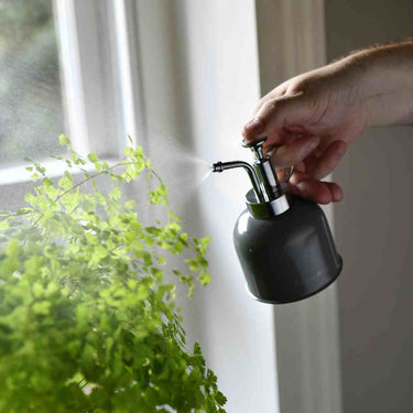 Burgon & Ball - 300ml Charcoal Plant Mister in use