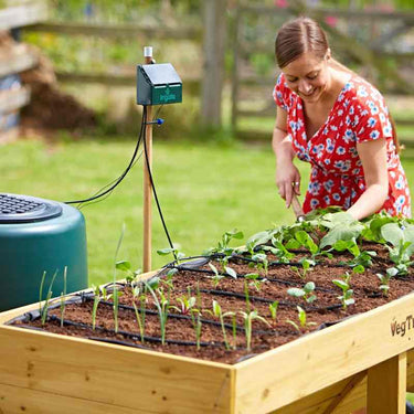 Irrigation System C12 in Garden with Harcostar Water Butt