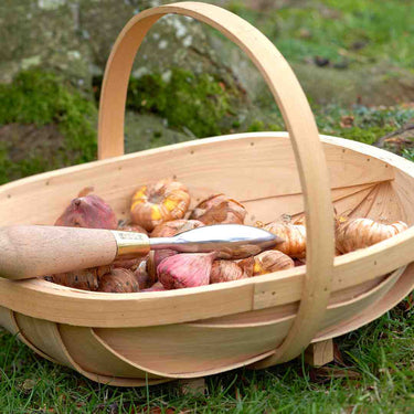 Medium sized wooden trug