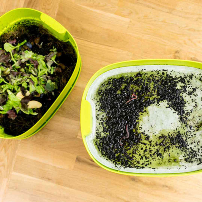 Urbalive Lime Worm Farm + Starter Kit + Voucher for Worms