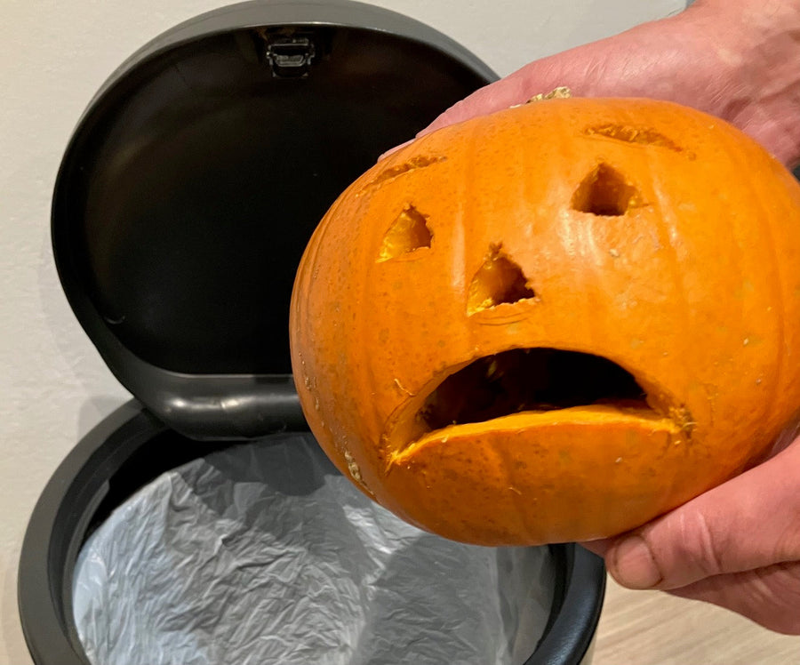 Don't bin that pumpkin this Halloween!