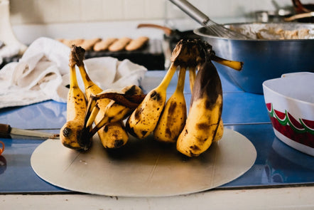 How to stop a fruit fly infestation