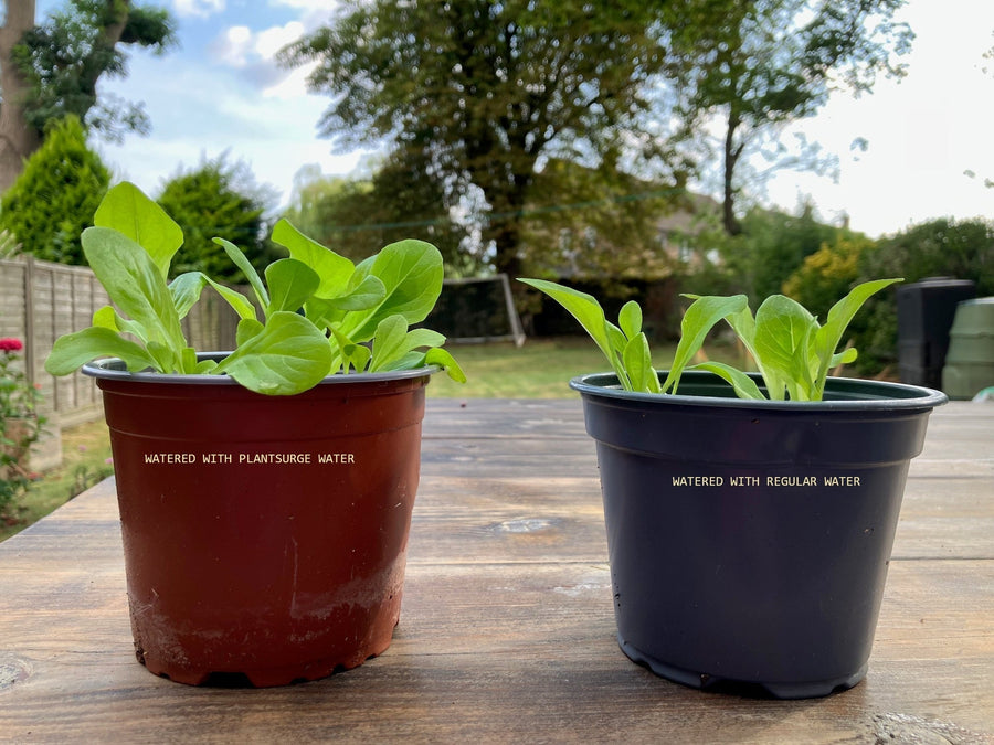 The ‘magic’ of magnets grows bigger, better plants