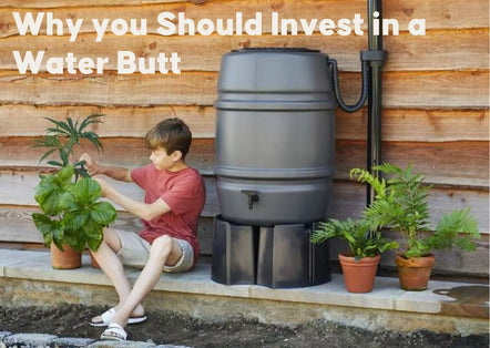 Save water and money with a water butt