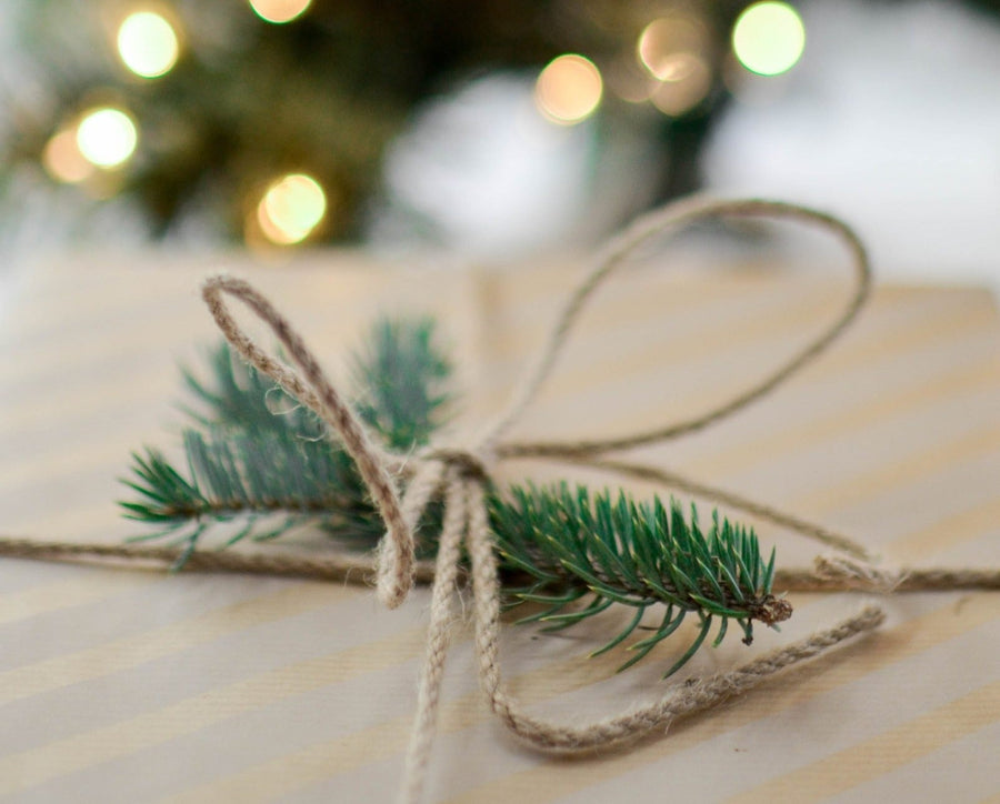 Our twelve tips of Christmas