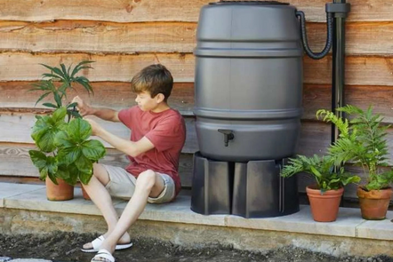 Save water and money with a water butt