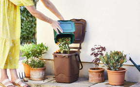 Food Waste In the Home