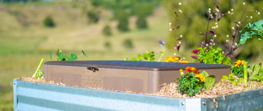 The Bugs, Bees & Broccoli Collection