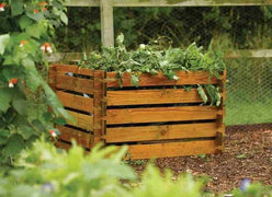 Rowlinson Collection