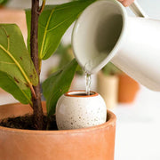 Watering Cans and Plants Misters