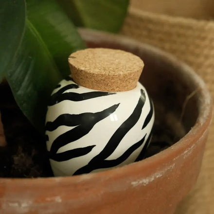 Olla Zebra Ceramic Plant Waterer