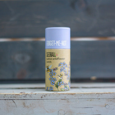 Wildflower Seedball Tube - Forget-Me-Not