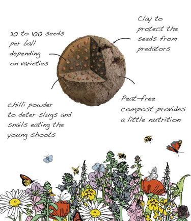 Seedball Wildflower Grab Bag - Butterfly Mix