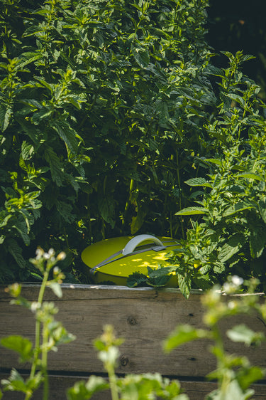 Plastia In-Ground Green Worm Farm with 250g Worms