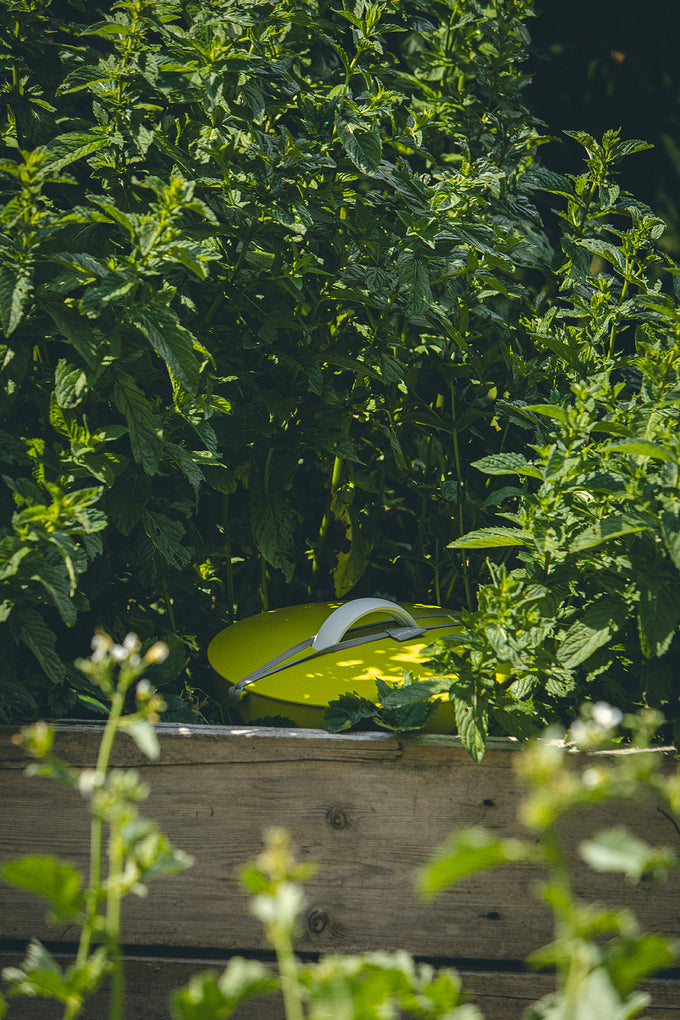 Plastia In-Ground Green Worm Farm with 250g Worms