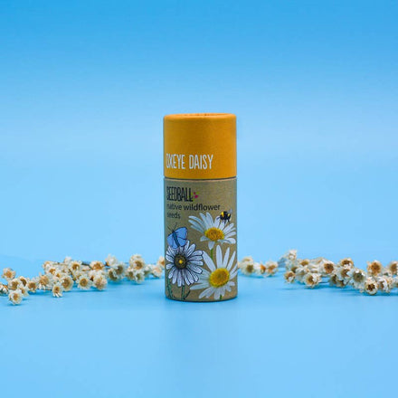 Seedball Wildflower Tube - Oxeye Daisy