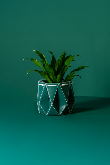 Self-Watering 15cm White POTR Pot