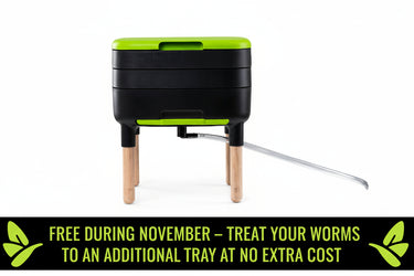 Maze Worm Farm Deluxe Kit