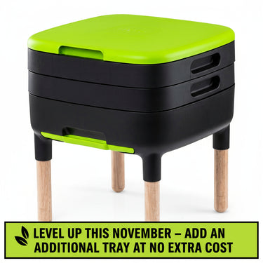 Maze Worm Farm with Wooden Legs