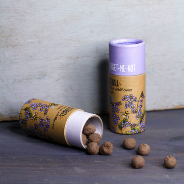 Wildflower Seedball Tube - Forget-Me-Not