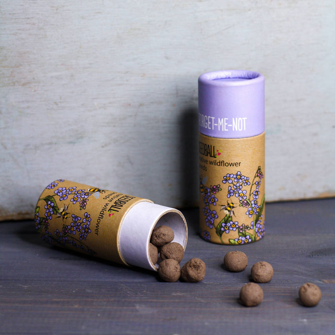 Wildflower Seedball Tube - Forget-Me-Not