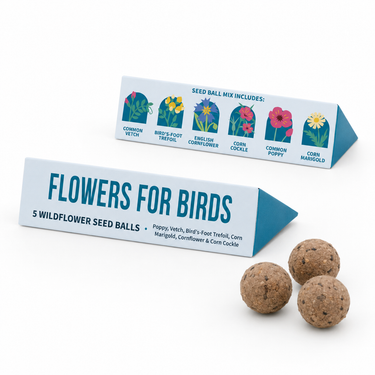 Flowers for Birds wildflower seed balls shown with their branded triangular packaging boxes on a white background. The boxes are light blue and white with colorful illustrations of flowers and text listing the seed ball ingredients: common vetch, bird's foot trefoil, English cornflower, corn cockle, common poppy, and corn marigold.