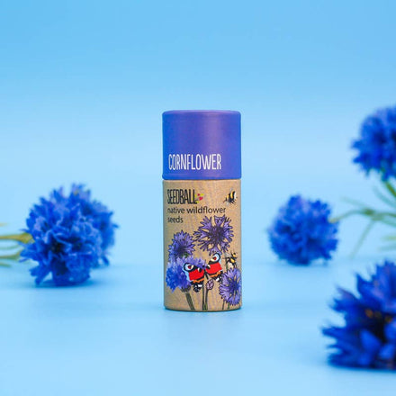 Wildflower Seedball Tube - Cornflower