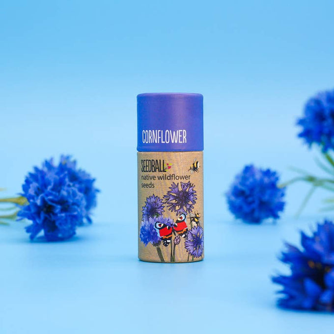 Wildflower Seedball Tube - Cornflower