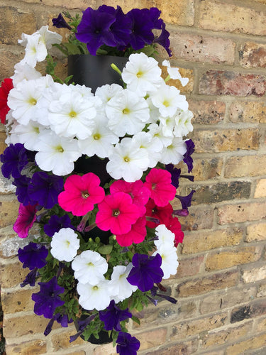 Flower Tower Wall Mounted Planter 2 Pack