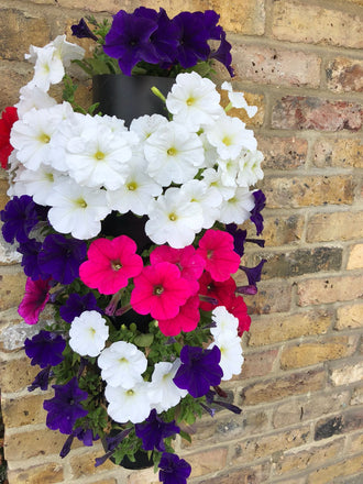 Flower Tower Wall Mounted Planter