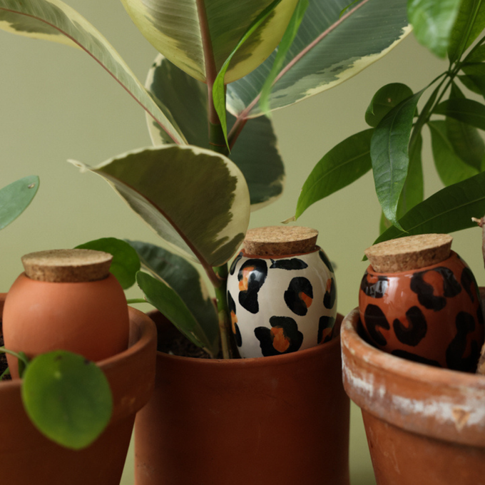 Box Trio Mini Ollas - The Leopards