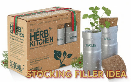 Seedball Italian Herb Kitchen