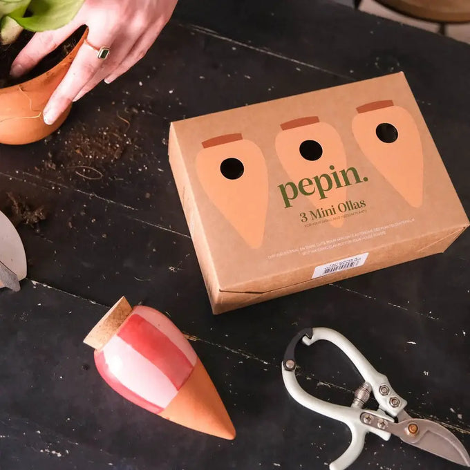 Olla The Striped Mini Trio Ceramic Plant Waterers