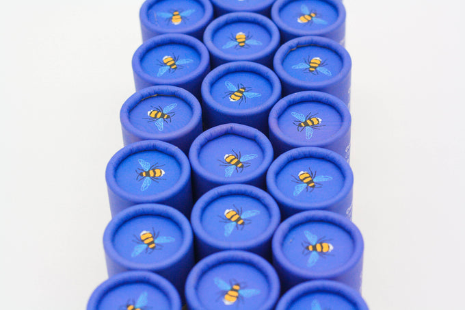 Wildflower Seedball Tube - Cornflower