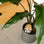 Olla Leopard Ceramic Plant Waterer