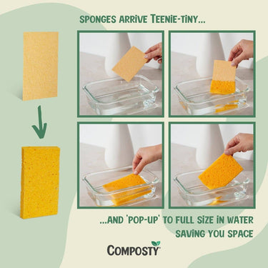 Composty Compostable Cleaning Try Me Bundle