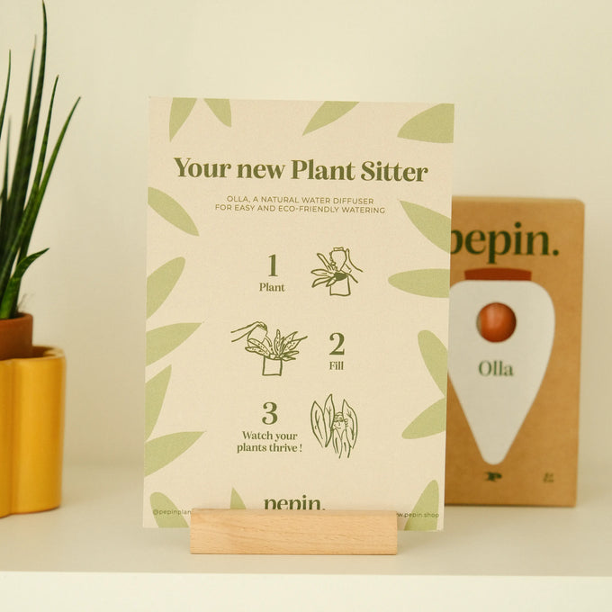 Olla Terracotta Ceramic Plant Waterer