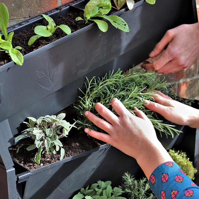 PlantBlox Vertical Planters - Set of 3