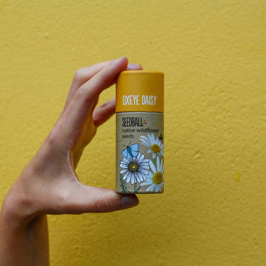 Wildflower Seedball Tube - Forget-Me-Not