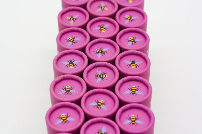 Wildflower Seedball Tube - Red Campion